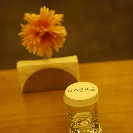 Sapko Airport 3* Istanbul