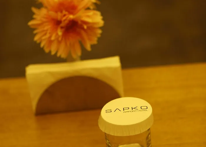 Sapko Airport 3* Isztambul